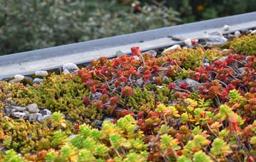 the cost of Abinger Common green roof installation