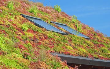Abinger Common living roof systems
